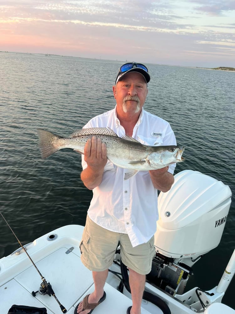 Dauphin Island Inshore Fishing Trip In Dauphin Island