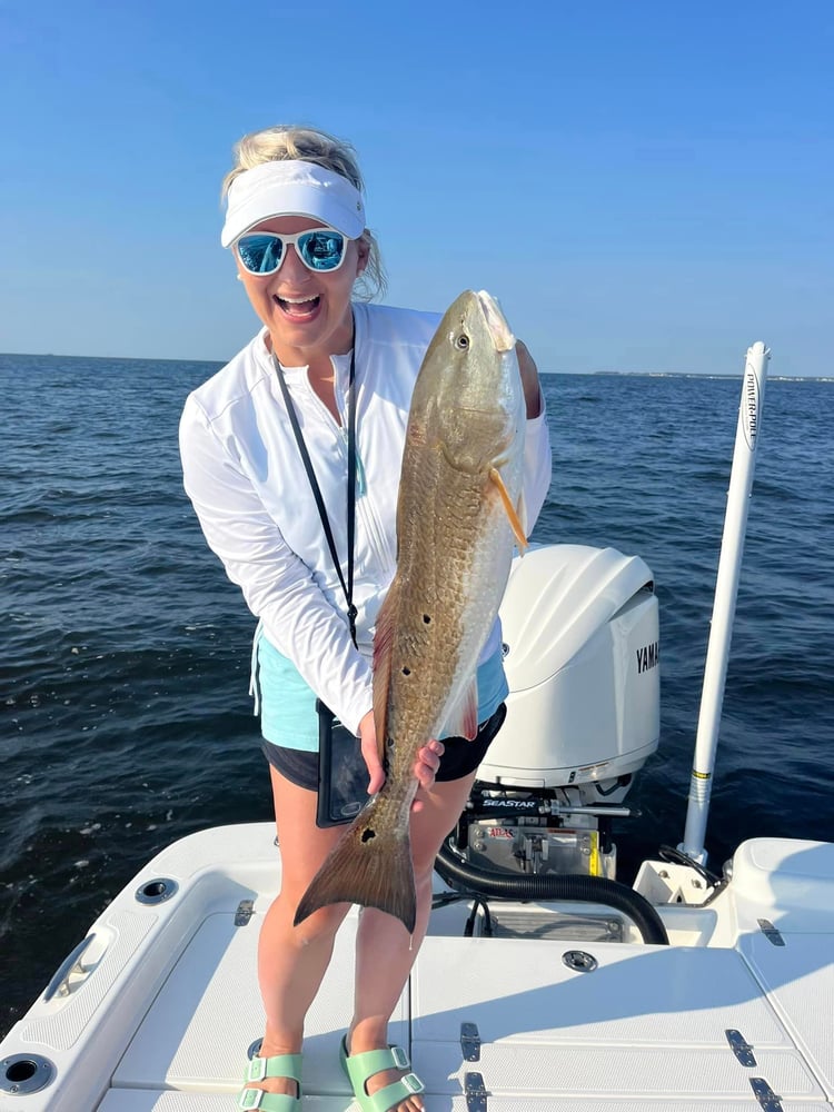 Dauphin Island Inshore Fishing Trip In Dauphin Island