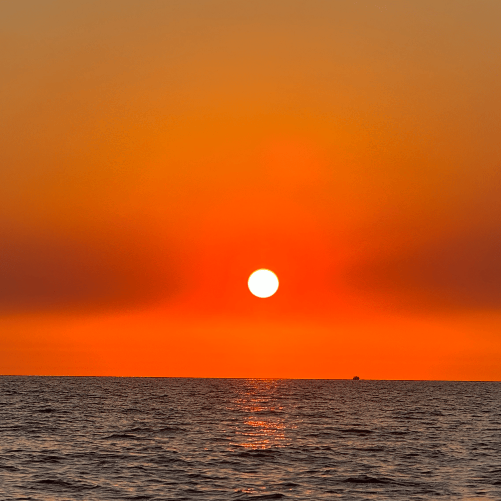 Sunset Fishing Trip In Fort Myers Beach