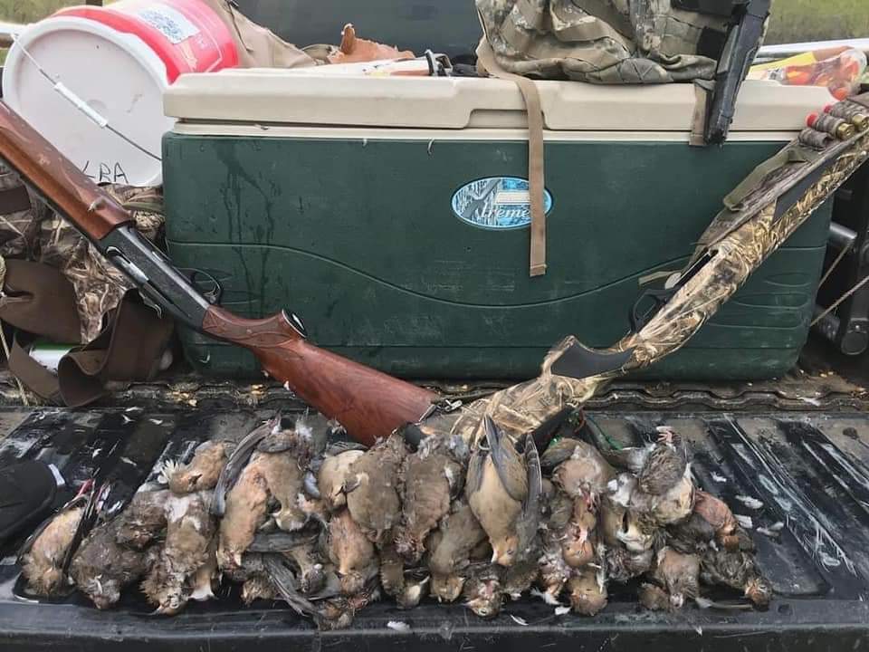 Dove Hunt 🕊 In El Campo