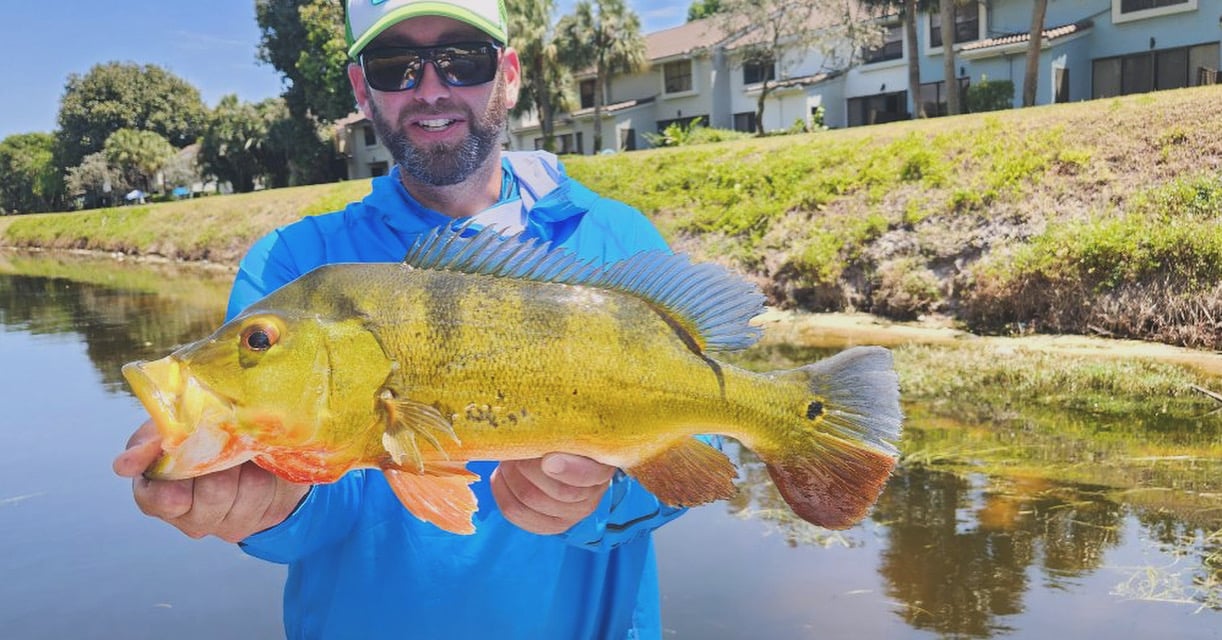 South Florida Diverse Fishing In Montura