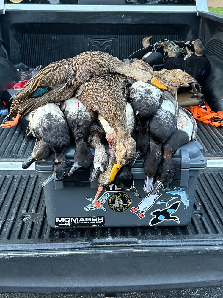 Treasure Coast Duck Hunts In Fellsmere