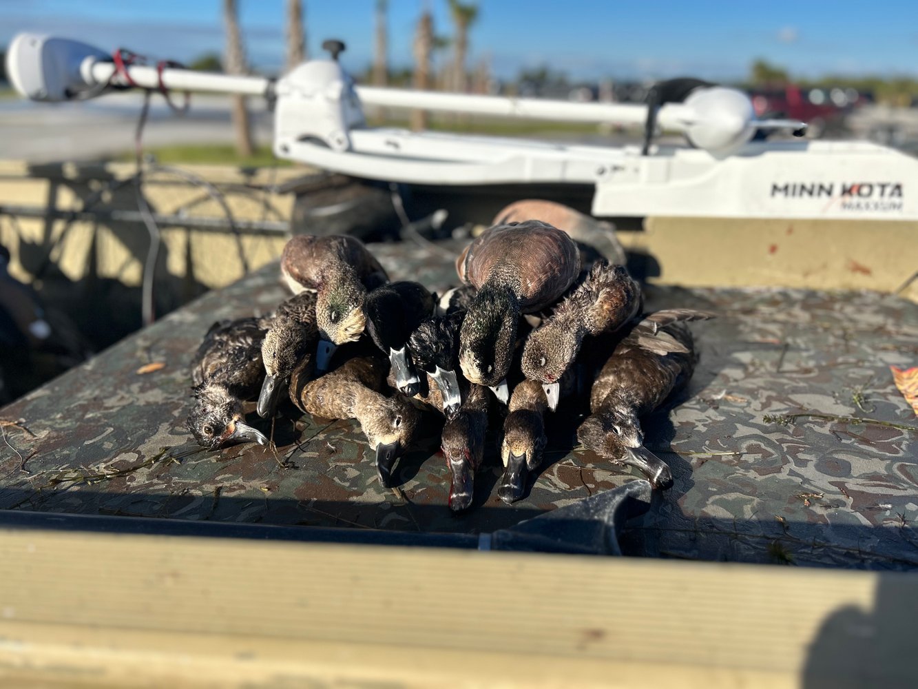 Duck Hunting (2 Hunters+Kid) In Fellsmere