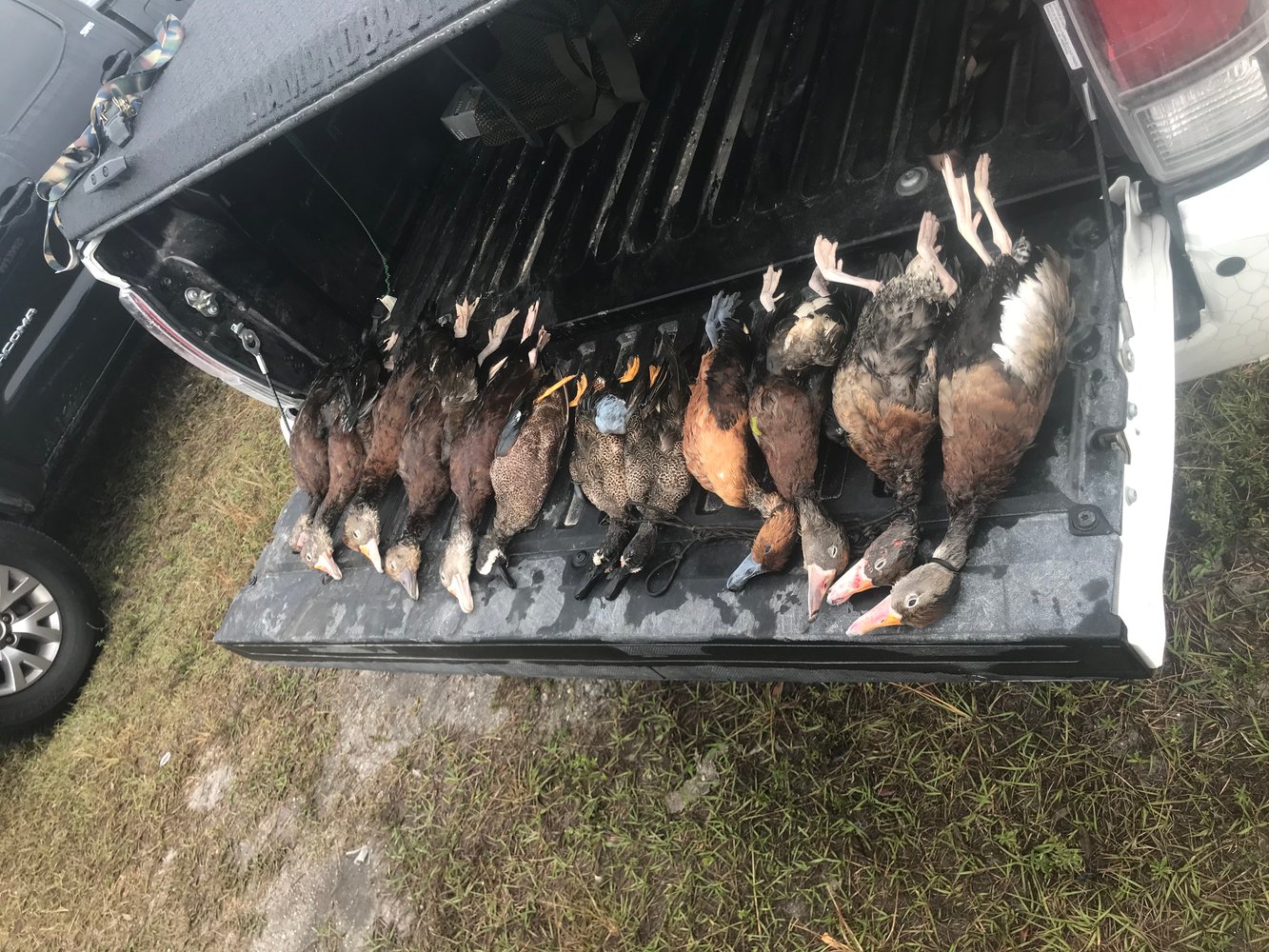 Duck Hunting (2 Hunters+Kid) In Fellsmere