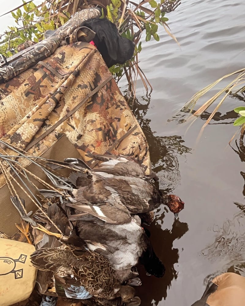 Duck Hunting (2 Hunters+Kid) In Fellsmere