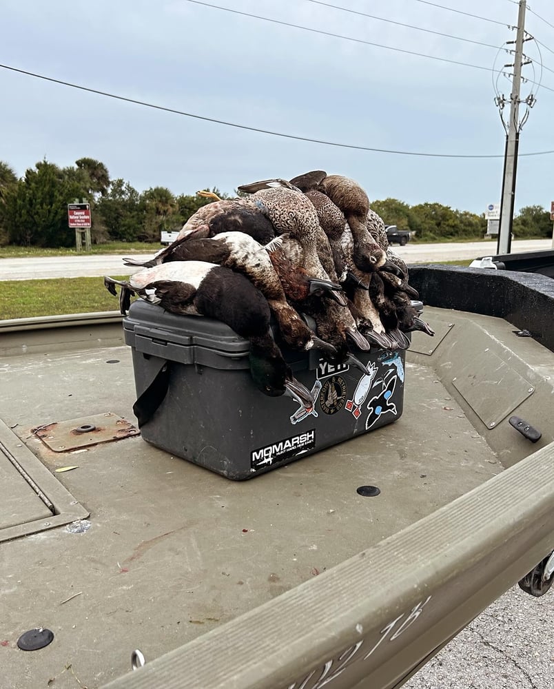 Treasure Coast Duck Hunts In Fellsmere