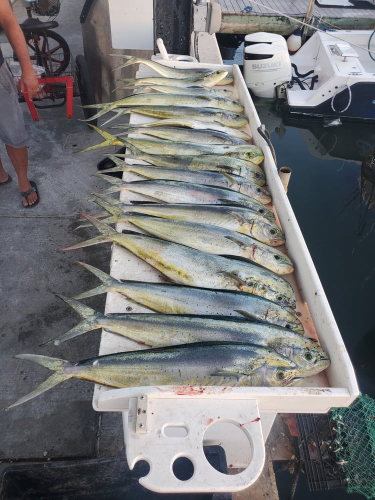 6 Hour Private Fishing In Key West