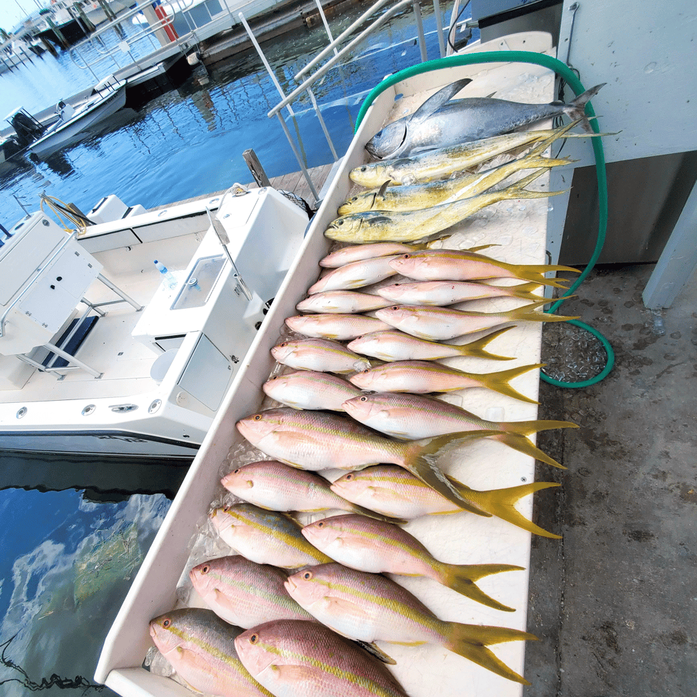 8 Hour Private Fishing In Key West