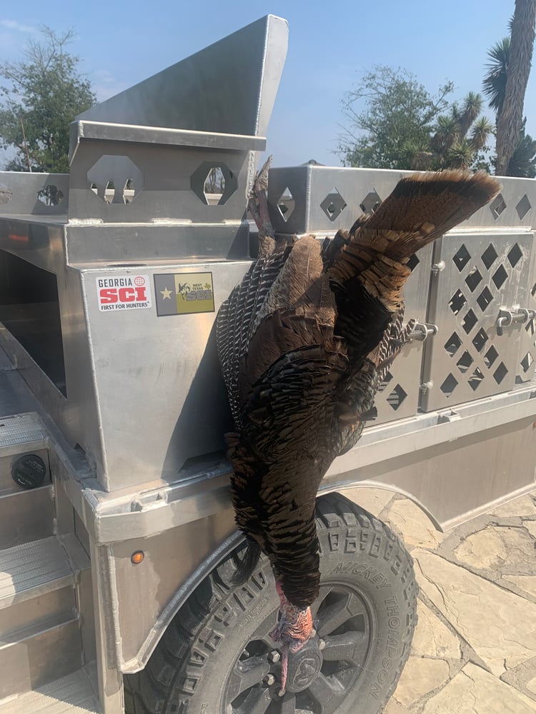 Mexican Rio Grande Turkey Hunts In José Silva Sánchez