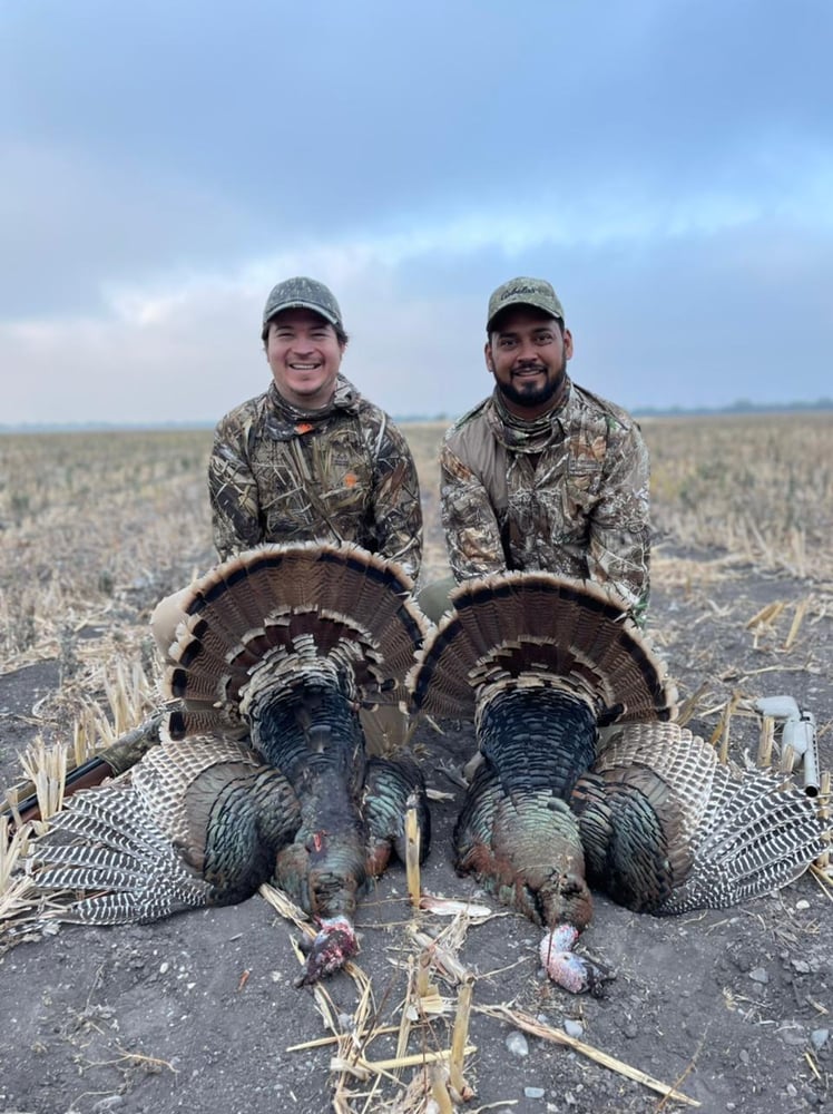 Mexican Rio Grande Turkey Hunts In José Silva Sánchez