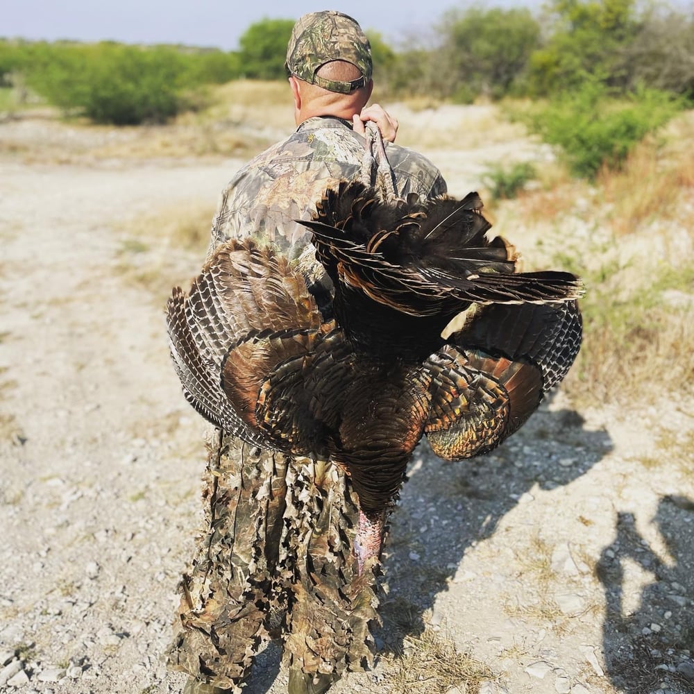 Mexican Rio Grande Turkey Hunts In José Silva Sánchez