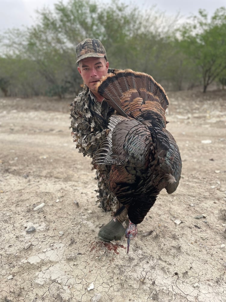 Mexican Rio Grande Turkey Hunts In José Silva Sánchez