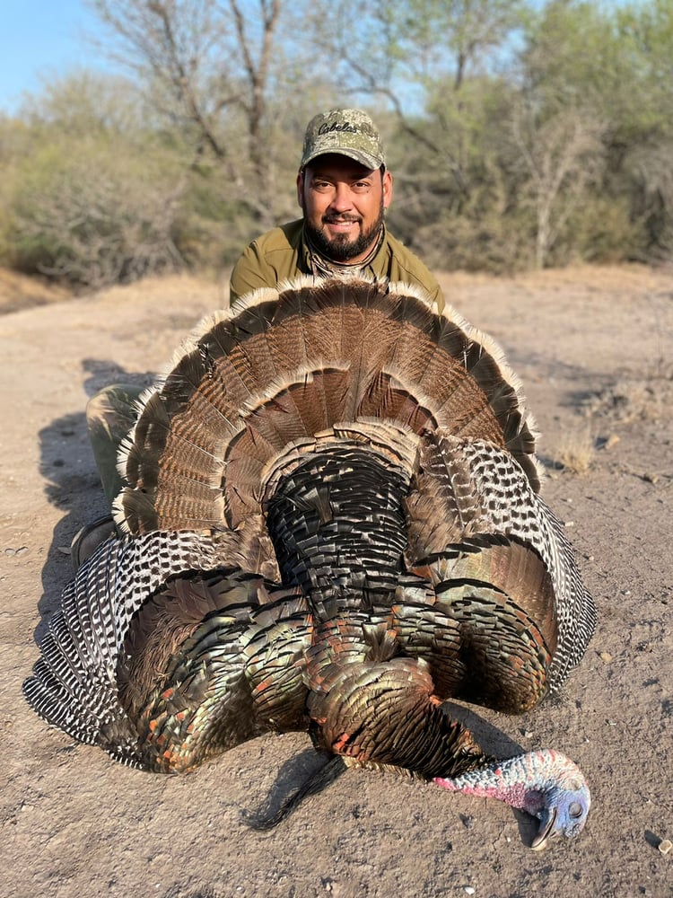 Mexican Rio Grande Turkey Hunts In José Silva Sánchez