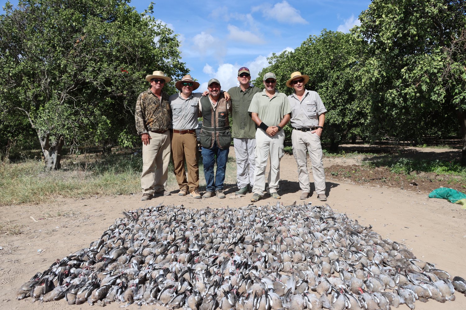 Premier Mexican Dove Hunts In José Silva Sánchez