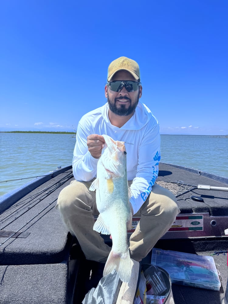 Lake Guerrero Trophy Bass Fishing In El Camotal