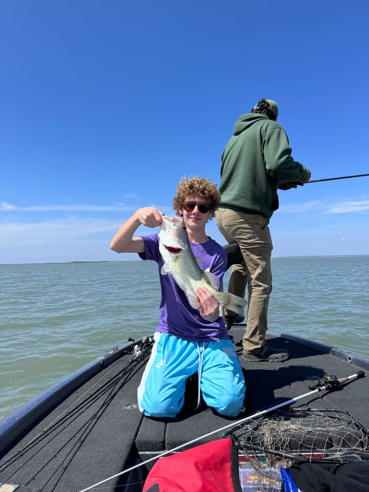 Lake Guerrero Trophy Bass Fishing In El Camotal