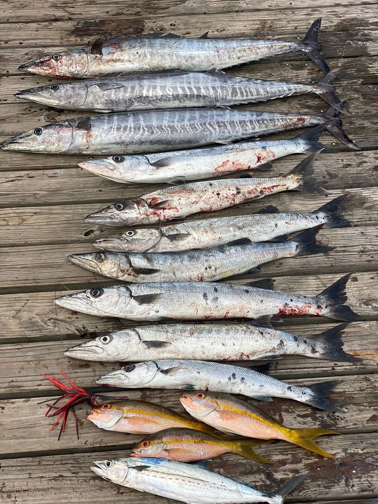 Light Tackle And Bottom Fishing Offshore In Nassau