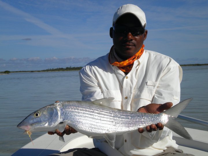 Andros Island Bonefishing In Andros Town