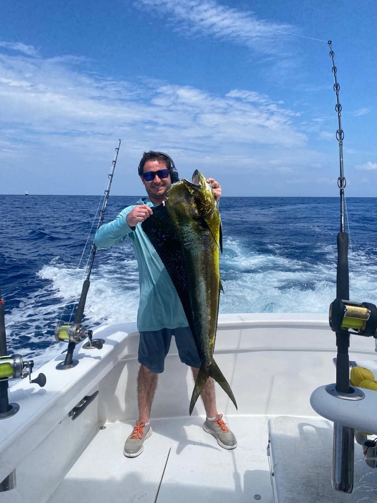 Los Sueños Roosterfish In Playa Herradura