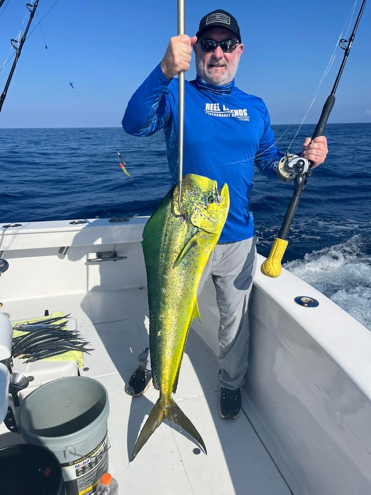 Los Sueños Roosterfish In Playa Herradura