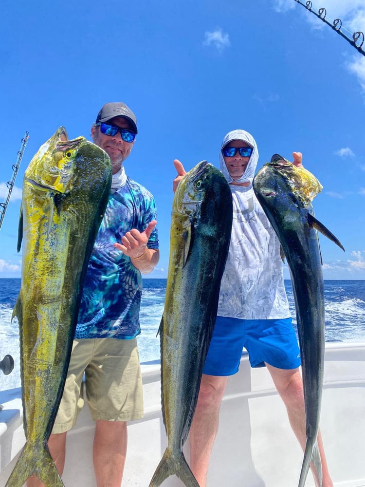 Los Sueños Roosterfish In Playa Herradura