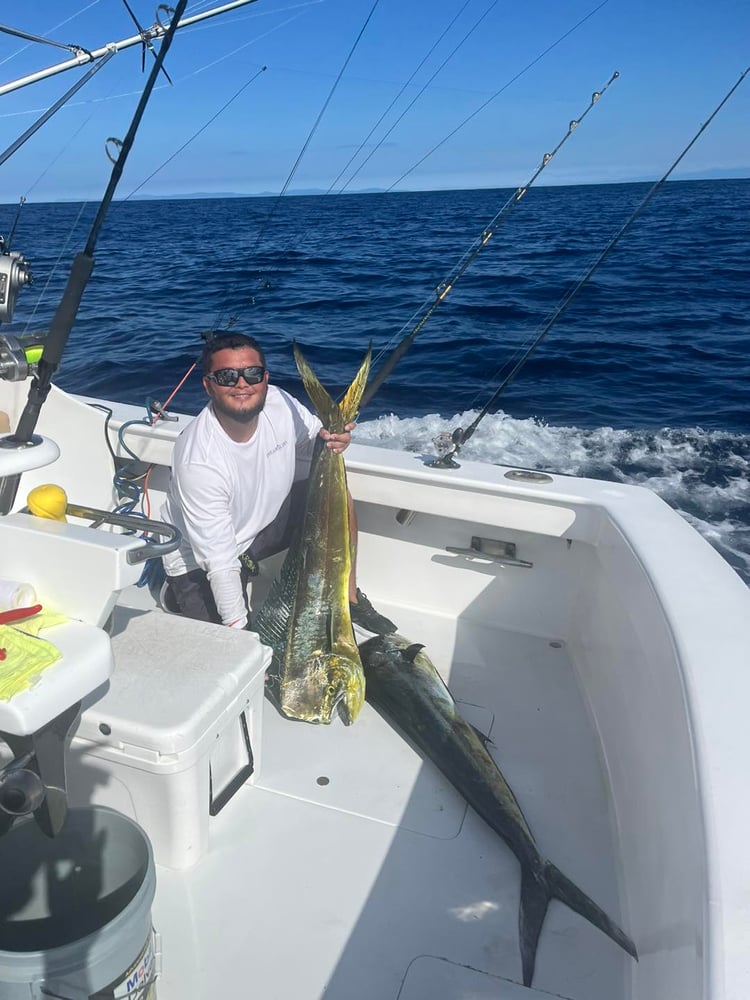 Los Sueños Roosterfish In Playa Herradura