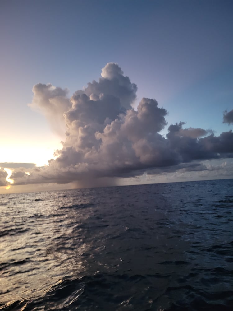 Hidden Fishing Gems Of The Dry Tortugas In Key West