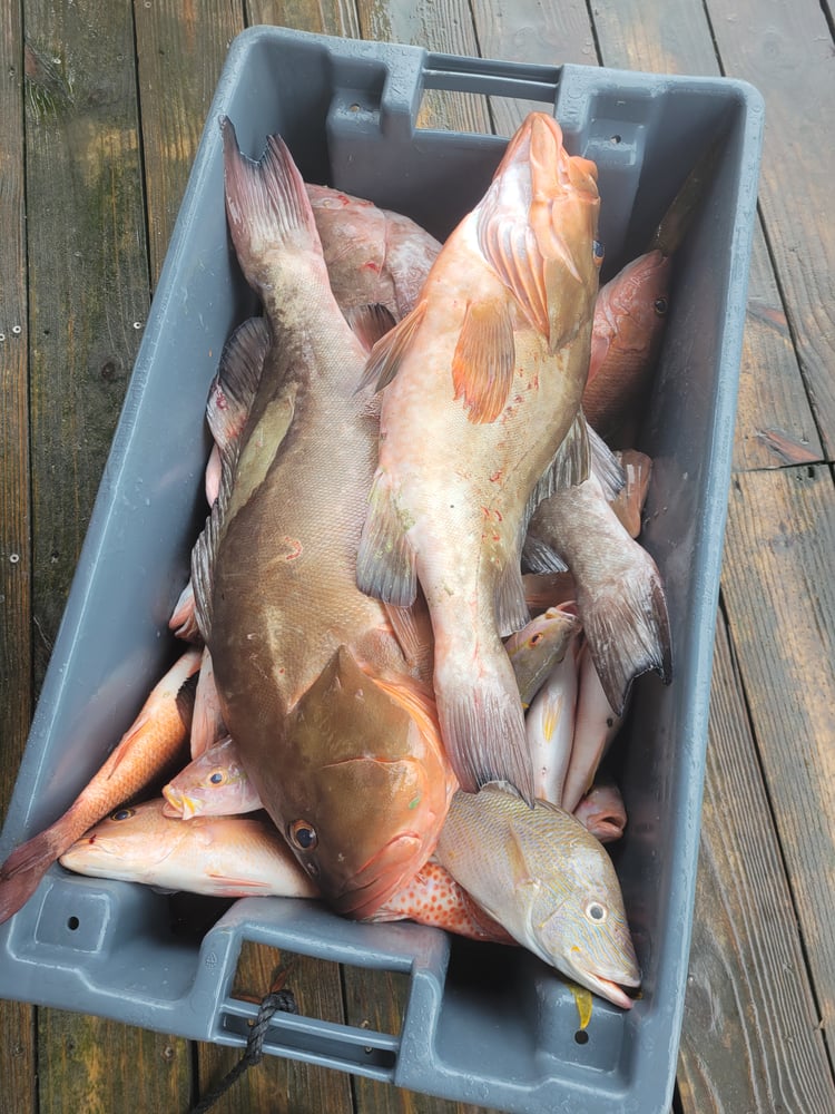 Hidden Fishing Gems Of The Dry Tortugas In Key West