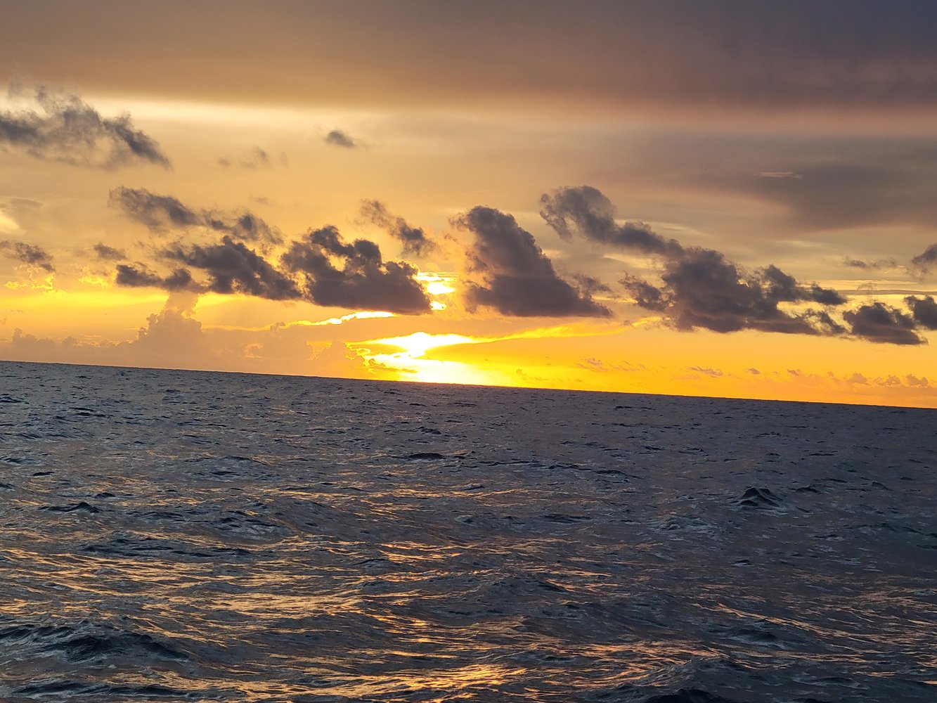 Hidden Fishing Gems Of The Dry Tortugas In Key West