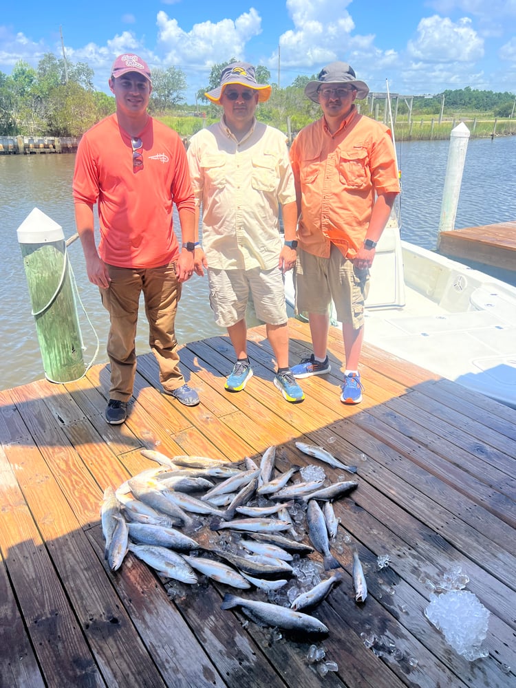 Bay St. Louis Ms Inshore Slam In Bay St. Louis