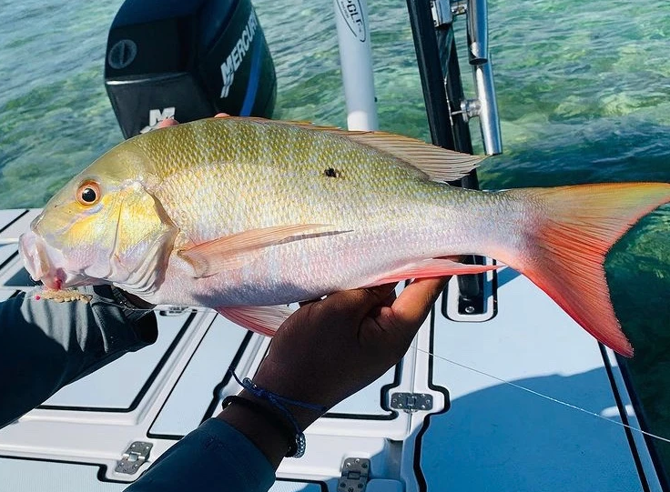 Bahamas Flats Fishing - Fly & Spin In Nassau