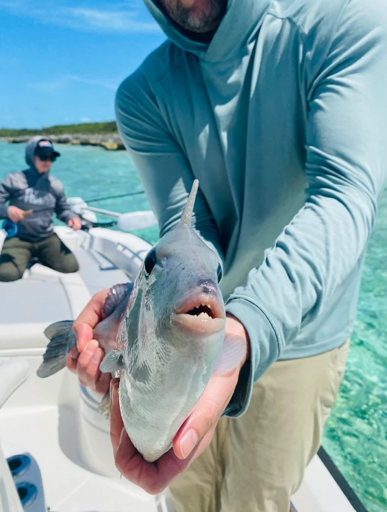 Bahamas Flats Fishing - Fly & Spin In Nassau