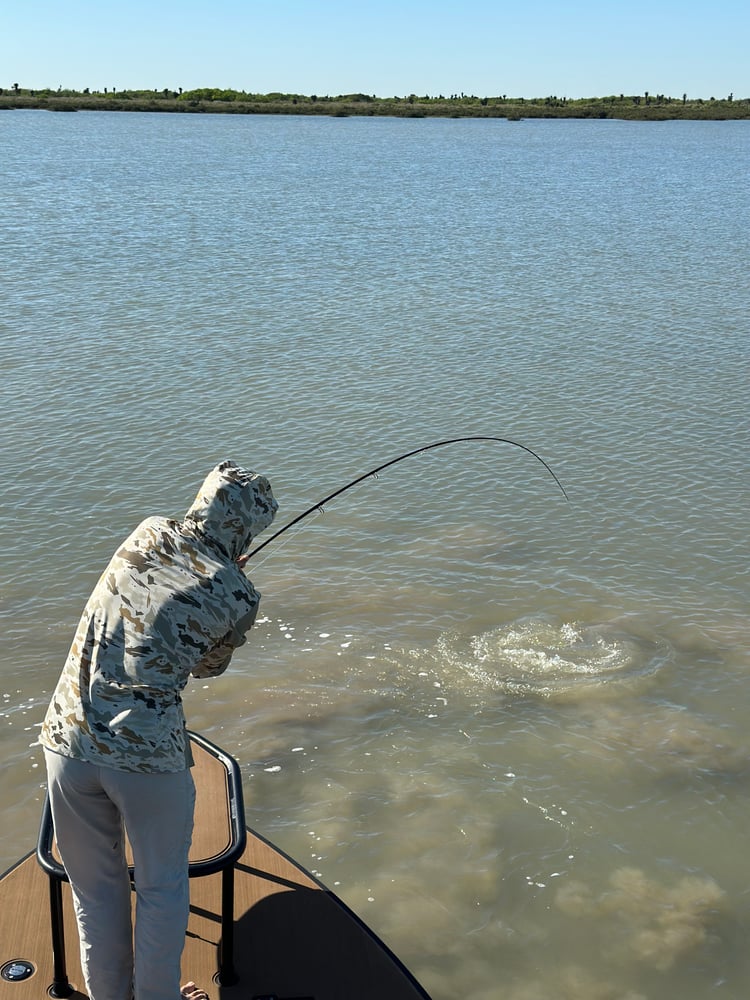 1/2 Day Fly Fishing/ Conventional Sight Fishing In South Padre Island