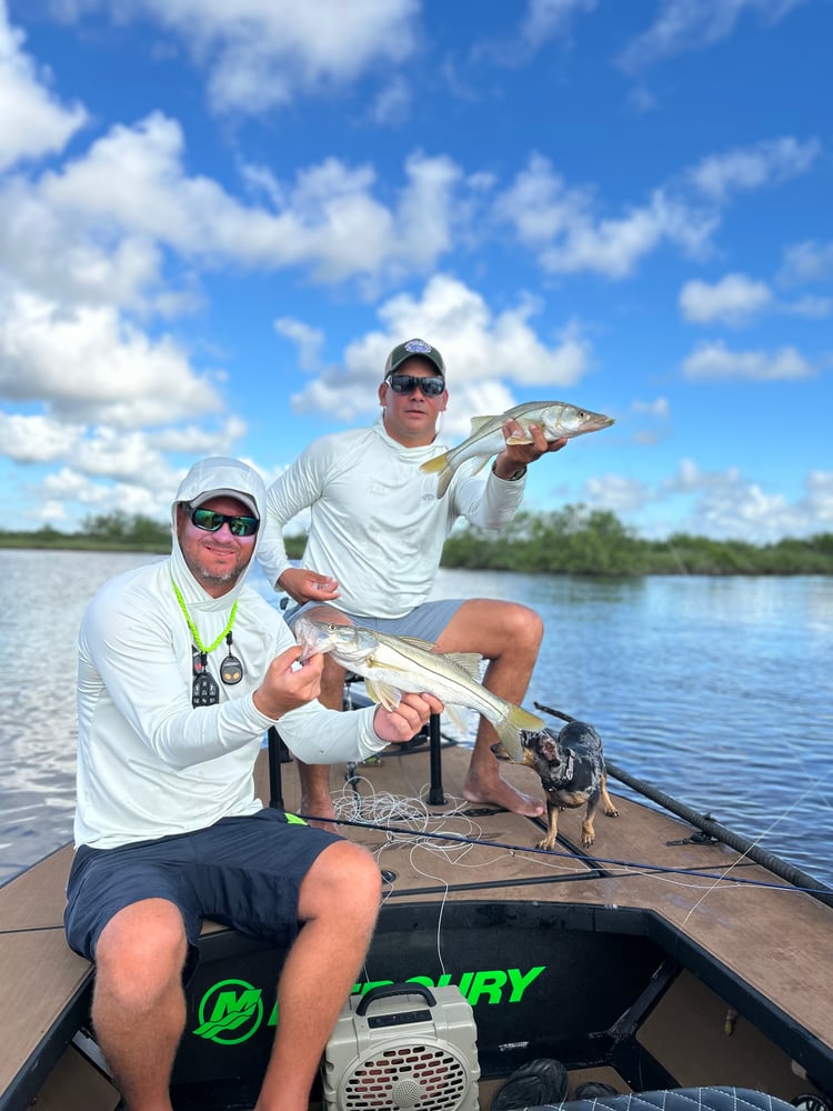 Fly Or Conventional Sight Fishing In South Padre Island