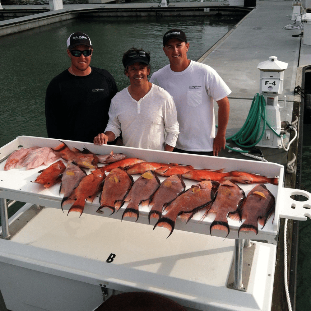 NEARSHORE TRIPS In Tierra Verde