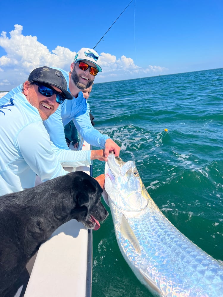 TARPON TRIPS In Tierra Verde