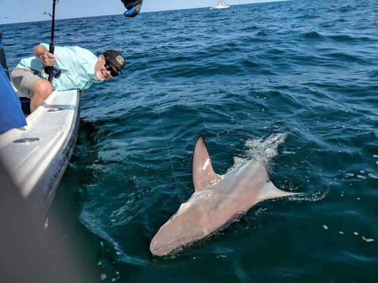 TARPON TRIPS In Tierra Verde