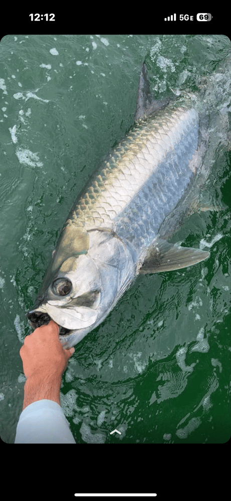 TARPON TRIPS In Tierra Verde