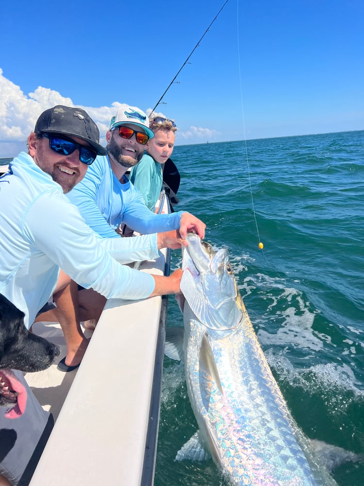 TARPON TRIPS In Tierra Verde