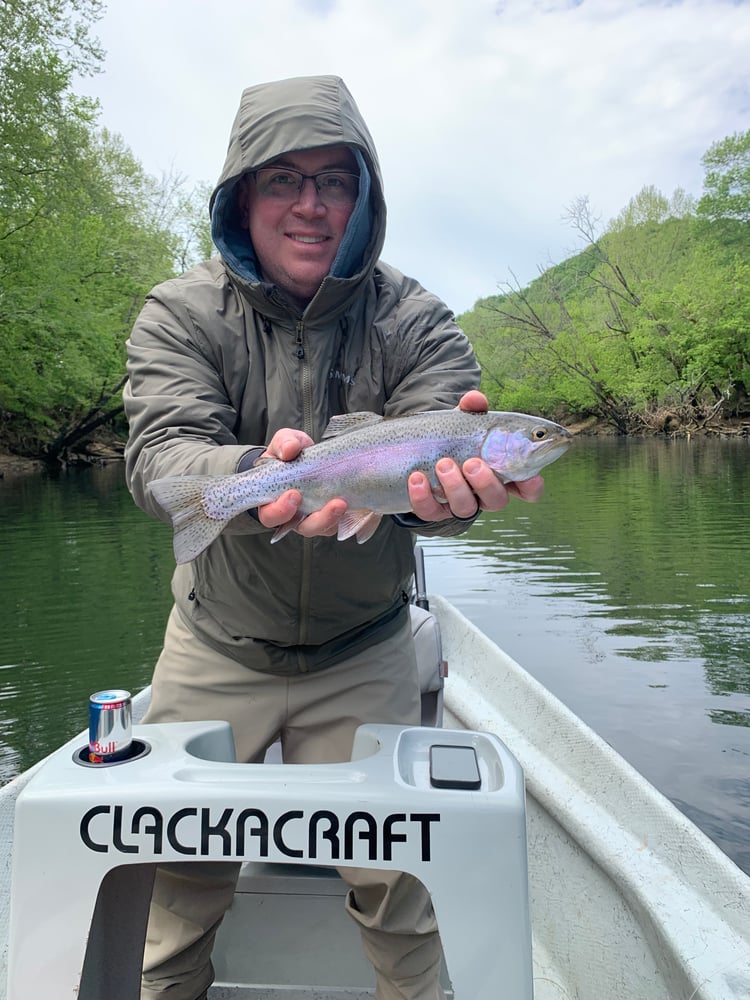 Caney Fork River Fly Fishing In Buffalo Valley