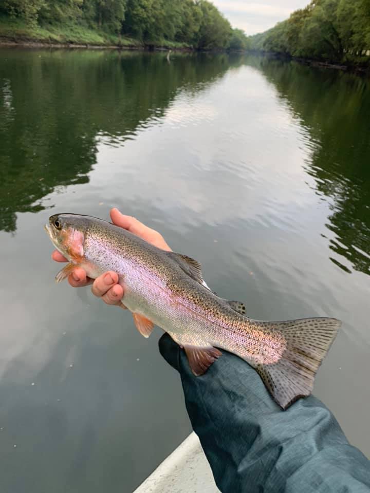 Caney Fork River Fly Fishing In Buffalo Valley