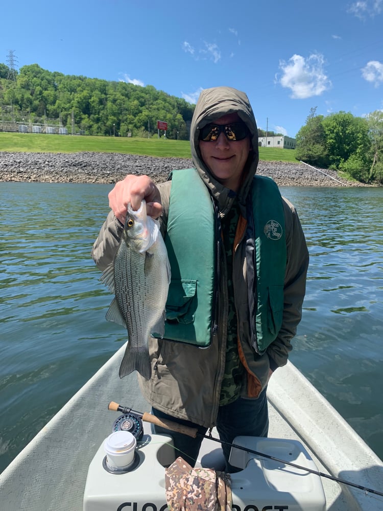 Caney Fork River Fly Fishing In Buffalo Valley