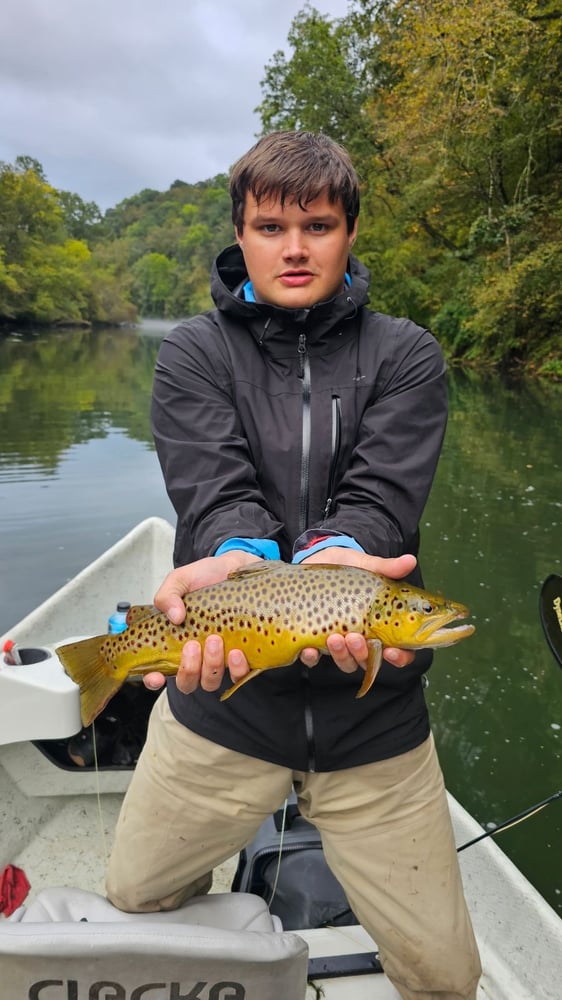 Caney Fork River Fly Fishing In Buffalo Valley