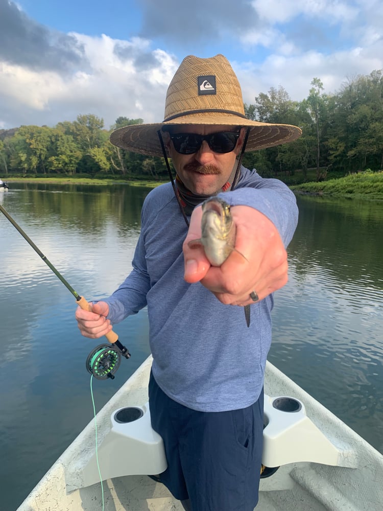 Caney Fork River Fly Fishing In Buffalo Valley