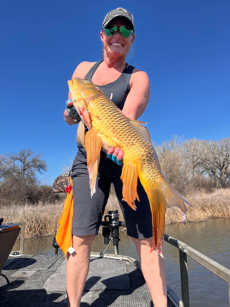 Lower Snake River Bow Fishing In Meridian