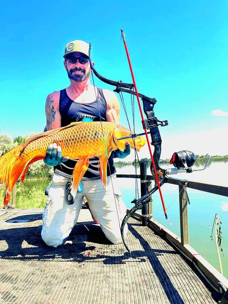 Lower Snake River Bow Fishing In Meridian