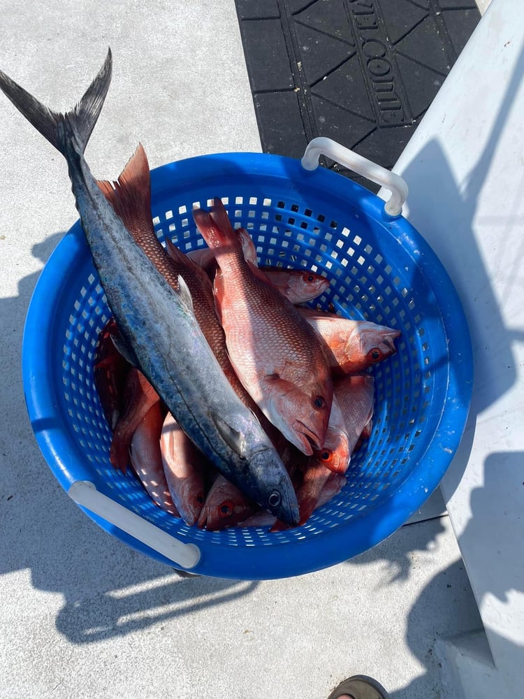 4 Hour Beginner Trip In Destin