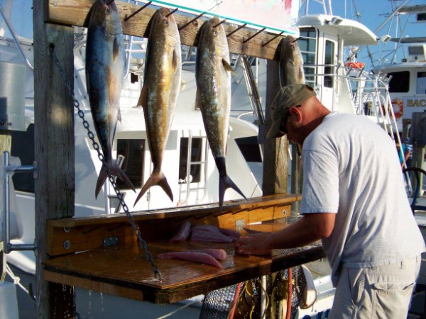 Destin Full-Day Fish Fest In Destin