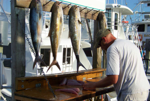 Destin Full-Day Fish Fest In Destin