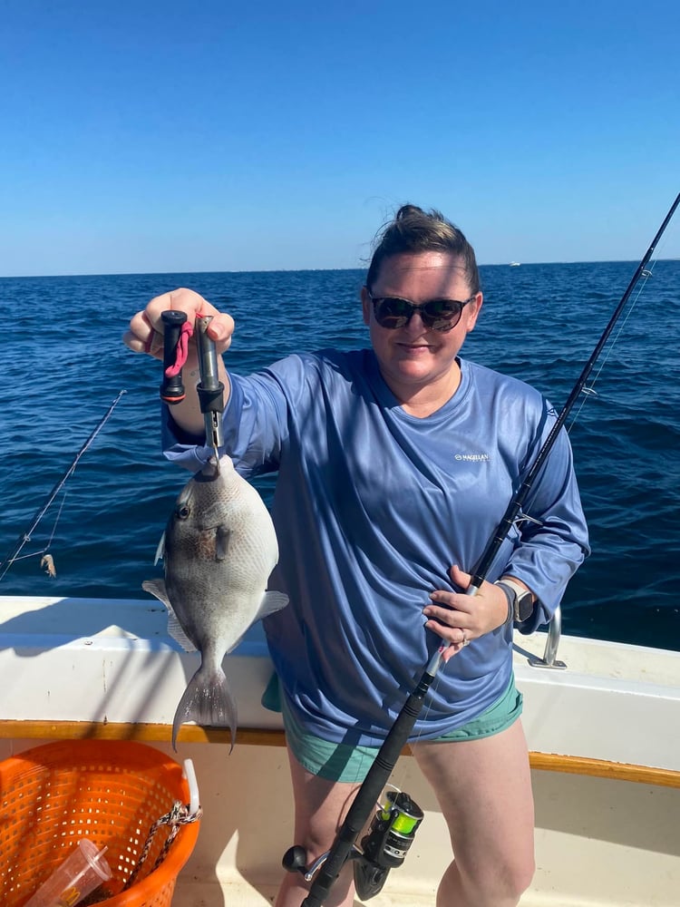 6 Hour Offshore In Destin